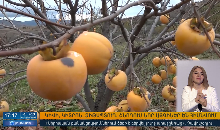 Օրակարգ 17:00