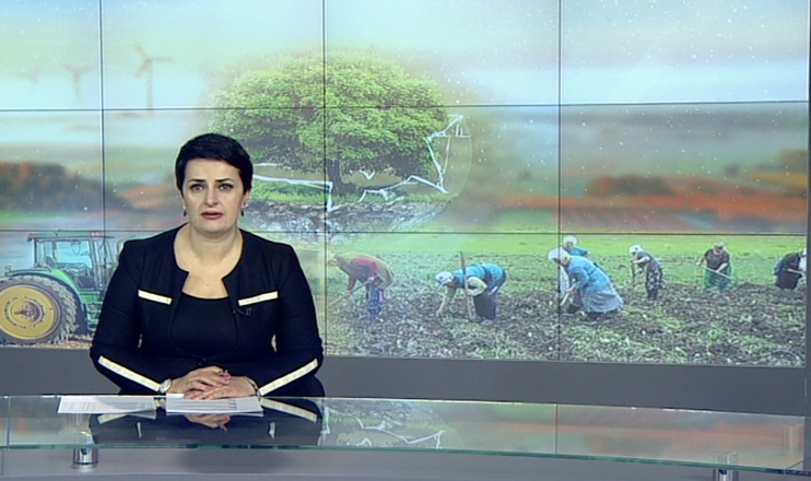Повестка дня 09:00