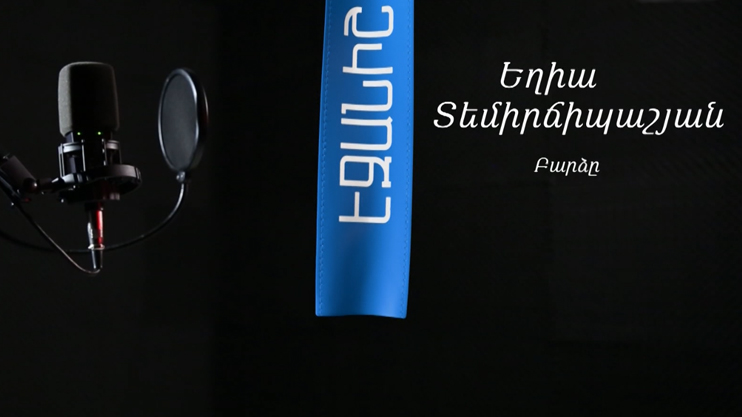 Егия Темирчипашян. Подушка