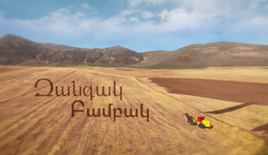 Զանգակ Բամբակ