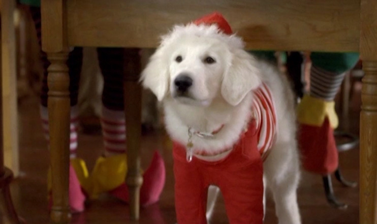 Santa Buddies