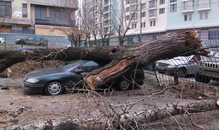 Առաջին տնտեսական
