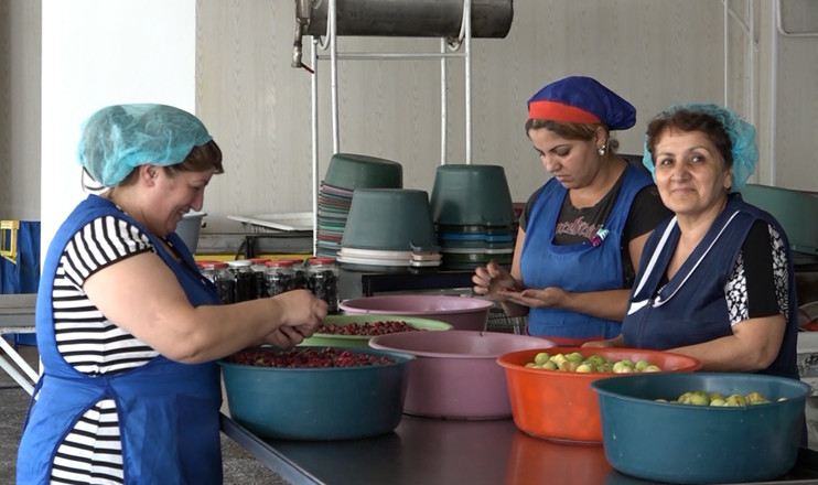 Առաջին տնտեսական