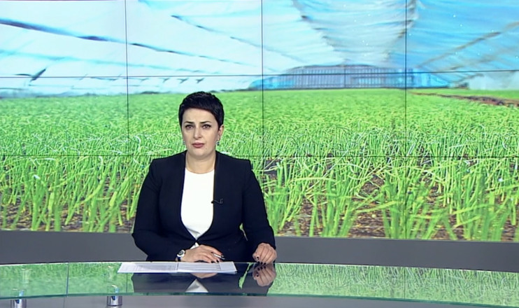 Повестка дня  09:00