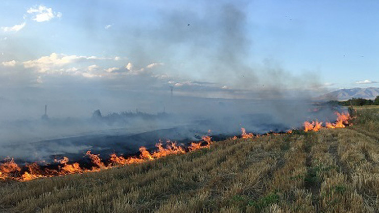 Լուրեր 17:00