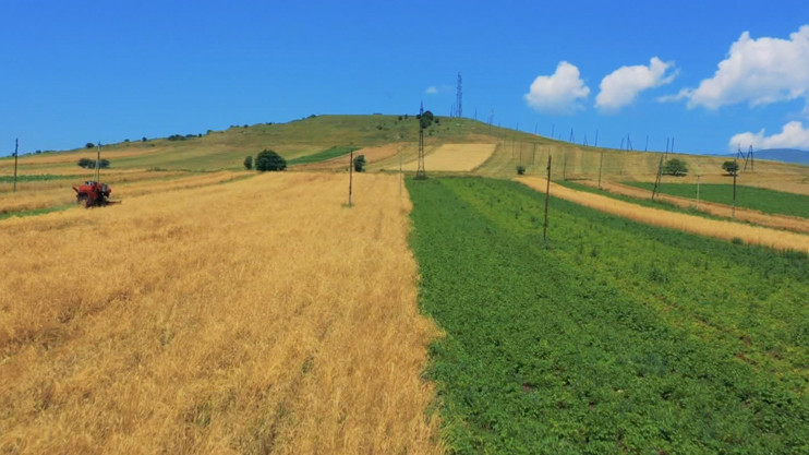Լուրեր. Գլխավոր թողարկում