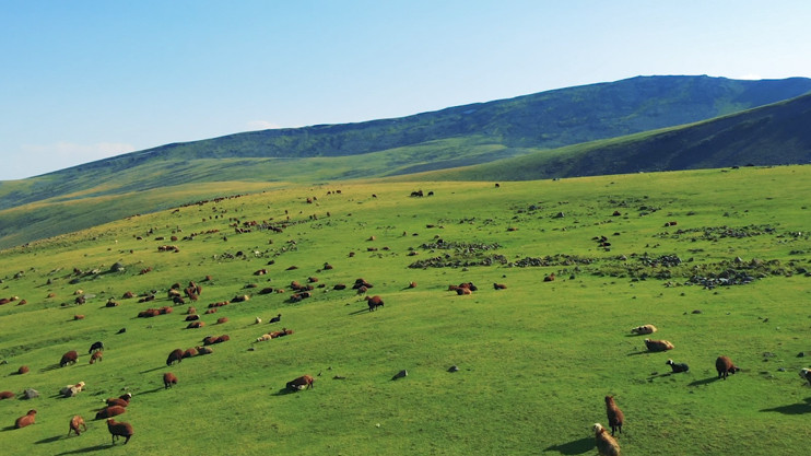 Լուրեր 17:00