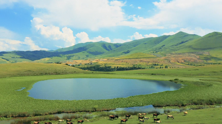 Ինդեքս