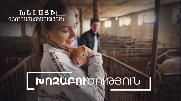 Խելացի գյուղատնտեսություն. Խոզաբուծություն