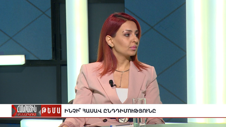 Հանրային քննարկում. Ինչի՞ հասավ ընդդիմությունը