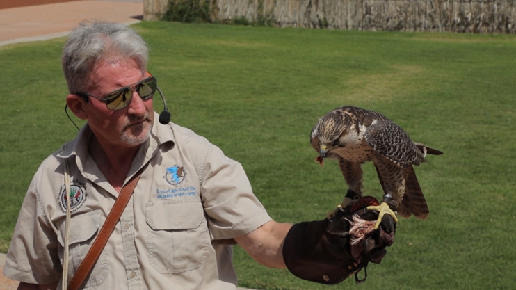 Օտար, ամայի ճամփեքի վրա. ԱՄԷ 2