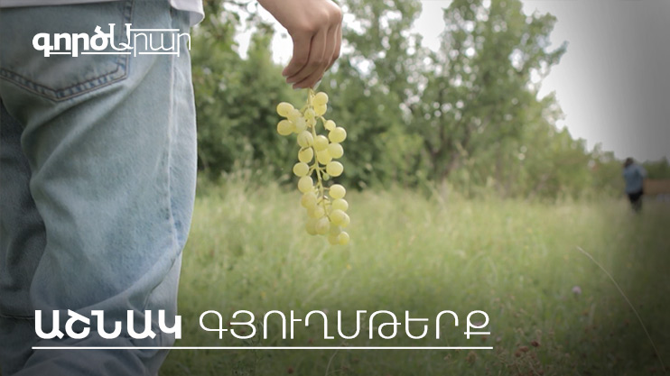 ԳործԱրար. Աշնակ Գյուղմթերք