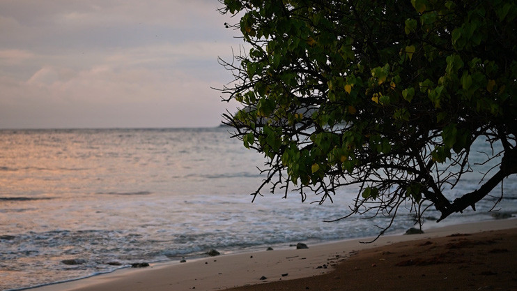 Вести. Главный выпуск