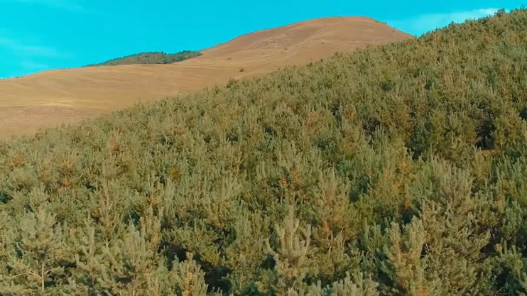 Индекс