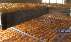 Ագրոժամ