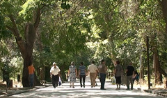Առաջին տնտեսական