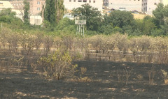Առաջին տնտեսական