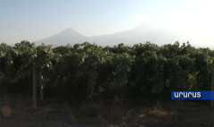Ագրոժամ