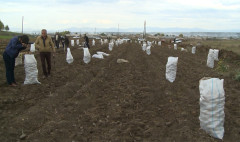 Առաջին տնտեսական