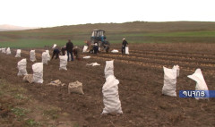 Ագրոժամ