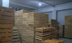 Առաջին տնտեսական