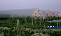Ագրոժամ