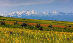 Ագրոժամ