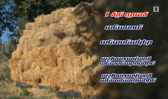 Հրապարակում