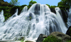 Առաջին տնտեսական