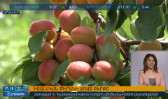 Agenda 17:00