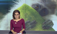Agenda 21:00