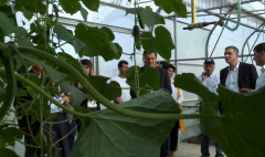 Առաջին տնտեսական
