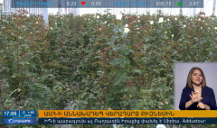 Օրակարգ 17:00