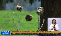 Օրակարգ 17։00