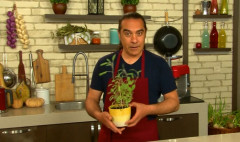 Let's Cook Together: Malfatti