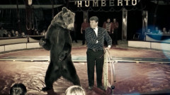 Armenian Circus