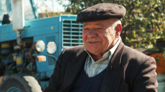 Զանգակ - բամբակ. Շողեր և Դոլյա