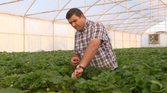 Իմ բիզնեսը. Հրաչ Բաբախանյան