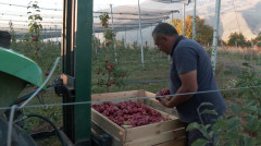 Իմ բիզնեսը. Թաթուլ Դումանյան