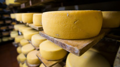 По дорогам Армении. Инспекция по безопасности пищевых продуктов (часть 2)