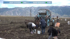 Ինդեքս
