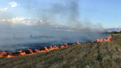 Լուրեր 17:00