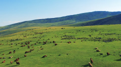 Լուրեր 17:00