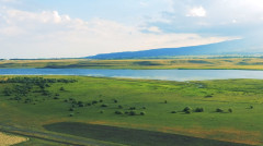 Լուրեր 13:00