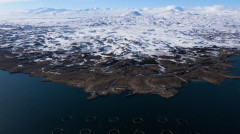 Ինդեքս