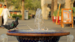 Вести. Главный выпуск