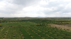 Ինդեքս