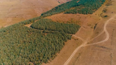 Լուրեր. Գլխավոր թողարկում