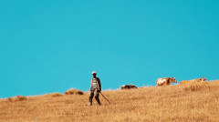 Լուրեր. Գլխավոր թողարկում