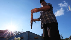 Life on Border: Sarigyugh